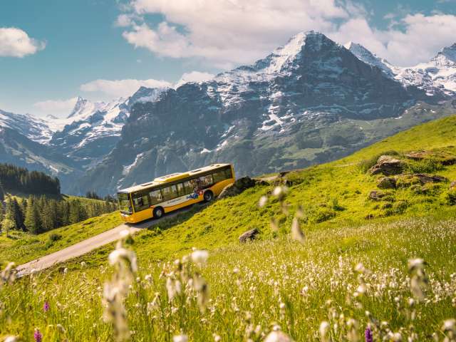 GrindelwaldBus